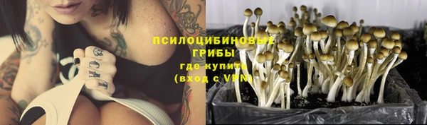 хмурый Ступино