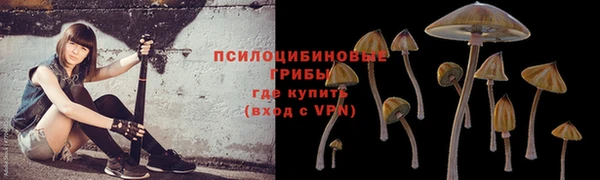 кокаин премиум Сосновый Бор